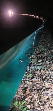 8 Pregled ograje. Foto T. Stepišnik